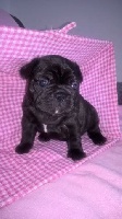 Louna
